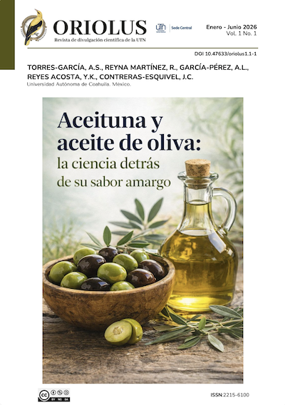 Aceituna y aceite de oliva